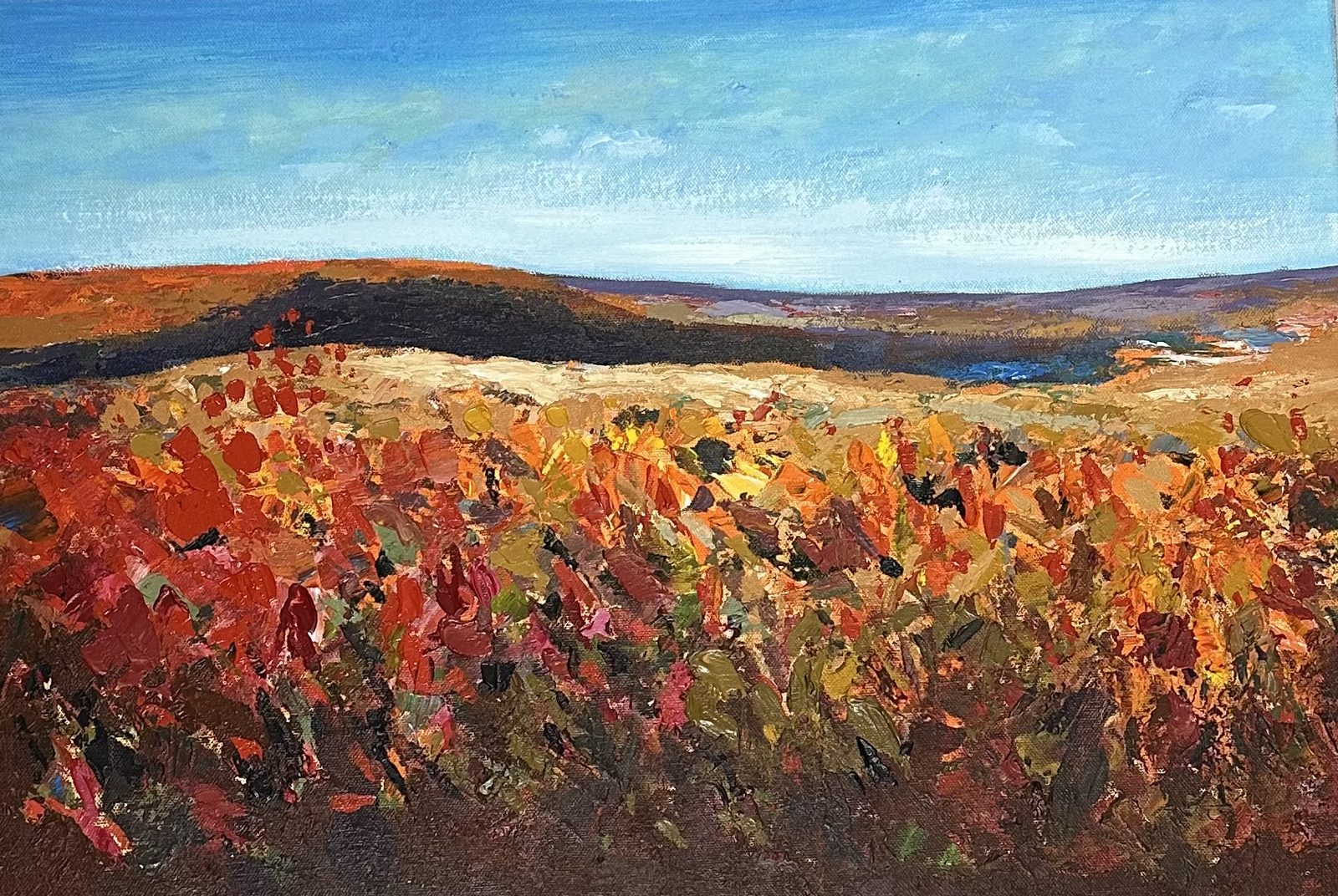 Autumn vineyard hillside